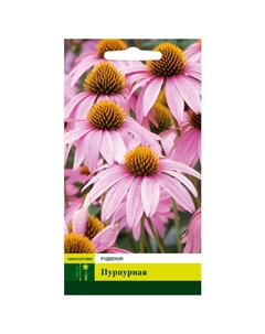 Семена Рудбекия пурпурная 0,2г Северный огород