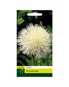 Семена Василек Белый шар 0,5г Северный огород
