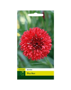 Семена Василёк Ред бол 0,5 г Северный огород