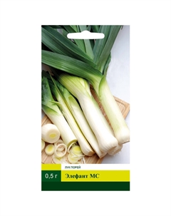 Семена Лук порей Элефант МС 0,5г Северный огород