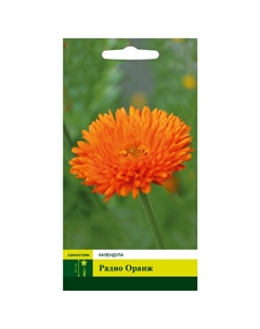 Семена Календула Радио Оранж 0,3г Северный огород