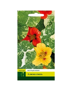 Семена Настурция Аляска смесь низкая 9шт Северный огород