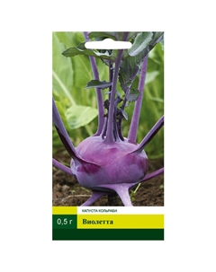 Семена Капуста кольраби Виолетта 0,5г Северный огород