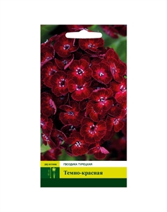 Семена Гвоздика Темно-красная турецкая 0,2г Северный огород