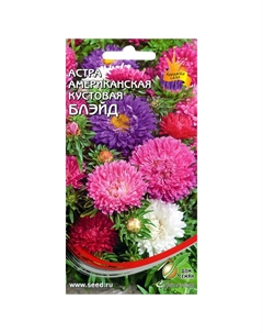 Семена Астра американская кустовая Блейд 0,25г Дом семян