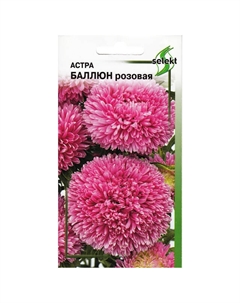 Семена Астра Баллюн розовая 0,11г Дом семян