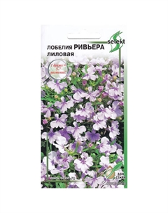 Семена Лобелия Ривьера лиловая 0,05г Дом семян