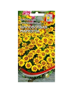 Семена Бархатцы (Тагетес отклонённый) Шаловливая Мариэтта 0,05г Дом семян
