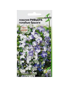 Семена Лобелия Ривьера Голубые Брызги 0,05г Дом семян
