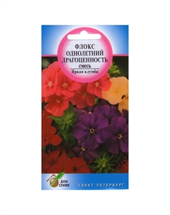 Семена Флокс крупноцветковые Драгоценность смесь 0,16г Дом семян