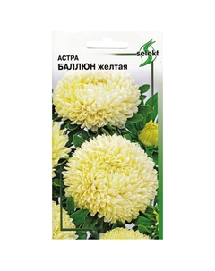 Семена Астра Баллюн жёлтый 0,11г Дом семян