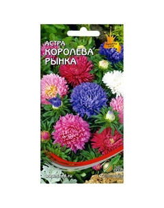 Семена Астра Королева Рынка смесь 0,25г Дом семян