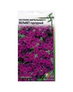 Семена Петуния ампельная Вельвет пурпурный 0,05г Дом семян