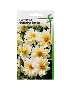 Семена Георгина Фигаро белая 0,05г Дом семян