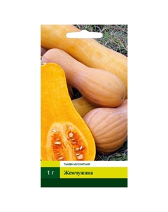 Семена Тыква Жемчужина мускатная 1г Северный огород