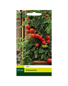 Семена Томат Пиноккио 10шт Северный огород