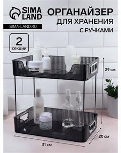 Органайзер для хранения, с ручками, 2 секции, 31×20×29 см, цвет черный, серебристый Qf