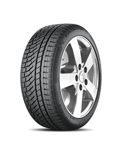 Шины 255/45 R20 Eurowinter HS02Pro 105W Falken