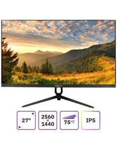 Монитор 27" F2722DF IPS, 2560x1440 (16:9), 300кд/м2, 4 мс, HDMI, DisplayPort, черный Tesla