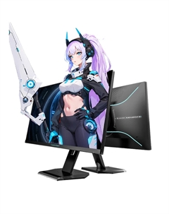 Монитор игровой ThundeRobot ZQ27F300L, 27", 2560x1440, 300 Гц, Fast IPS, черный Thunderobot