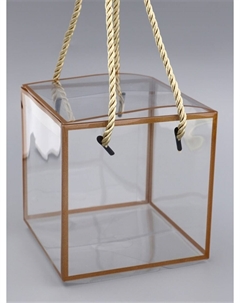 Коробка из pet с ручками, прозрачная с золотым, 12×12×12 см Upak land