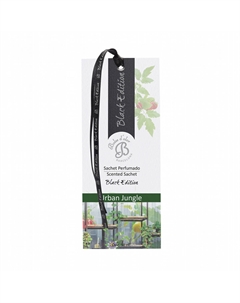 Саше Black Edition. Городские джунгли Boles d’olor