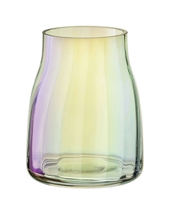 Ваза для цветов Agnis 16см Bergenson bjorn