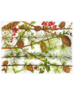 Блюдо Montagna 40x29см Taitu