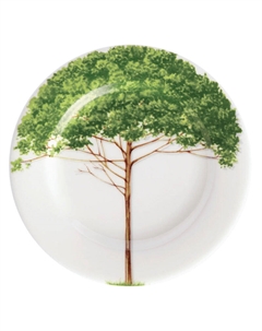 Тарелка пирожковая Freedom. Wood 16см Taitu