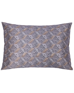 Наволочка Геометрия Санкт-Петербурга Дельта Невы в серебристо-сером 50х70см Mollen