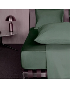 Простыня евро Total Look в нефритовом 250х280см Mollen