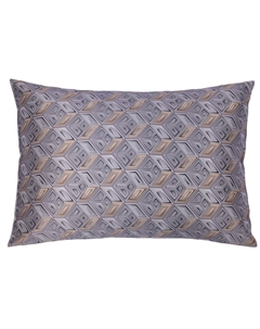Наволочка 50х70см Геометрия Санкт-Петербурга Дельта Невы в серебристо-сером Mollen