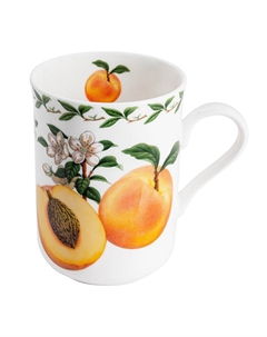 Кружка Фрукты Абрикос Maxwell & williams