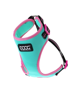 Шлейка для собак NEOFLEX RIN TIN TIN (M, Бирюзово-розовая) Doog