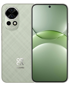 Смартфон Huawei nova 13 256GB Loden Green