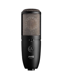 Конденсаторный микрофон AKG P420 Perception 420 Multi-Pattern Large-Diapraghm Condenser Microphone Akg