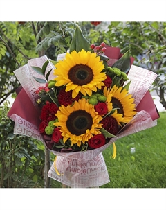 Три солнышка Florpro