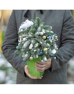 Ель домашняя Florpro