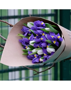 Букет «11 белых тюльпанов и 10 синих ирисов в упаковке» Florpro