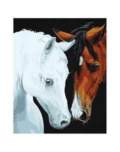 Картина по номерам на черном холсте Нежные чувства, 40х50 см Три совы