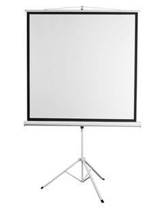 Экран для проектора напольный рулонный Kontur-D формат 1:1, 172x172см (DSKD-1104) Digis