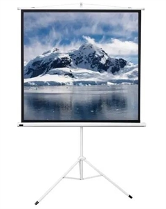 Экран для проектора напольный рулонный Sakura-Printing TriScreen, 111", 1:1, 200x200см, белый матовый (SCPST-200x200) Sakura printing