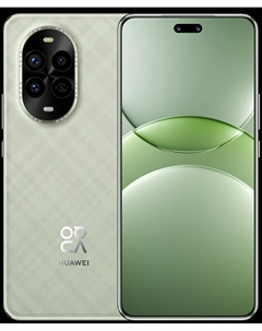 Смартфон HUAWEI Nova 13 Pro 12/512 Гб LTE Дымчатый зеленый Huawei