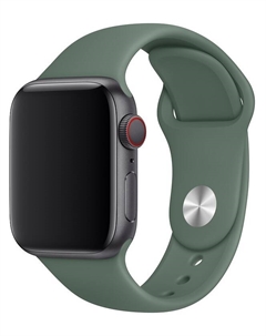 Ремешок для умных часов ES-AWBS-108 Apple Watch 38/40мм силиконовый Green Everstone