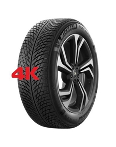 Шина Pilot Alpin 5 SUV 265/35 R22 102W Michelin