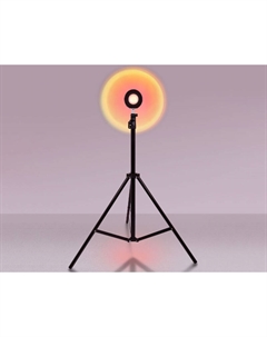 Настольная лампа Desk DE8387 Ambrella light