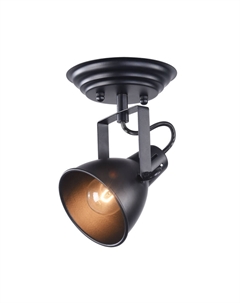 Спот Ibbi FR4276-CW-01-B Freya