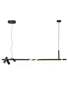 Подвесная люстра Corda 4391/30L Odeon light