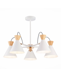 Потолочная люстра Modica SLE125102-05 Evoluce