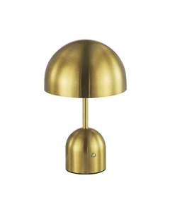 Настольная лампа Eclat SLE1806-204-01 Evoluce